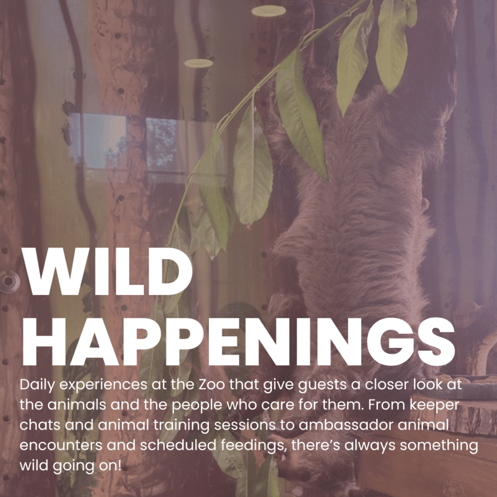 Roosevelt Park Zoo photo 6