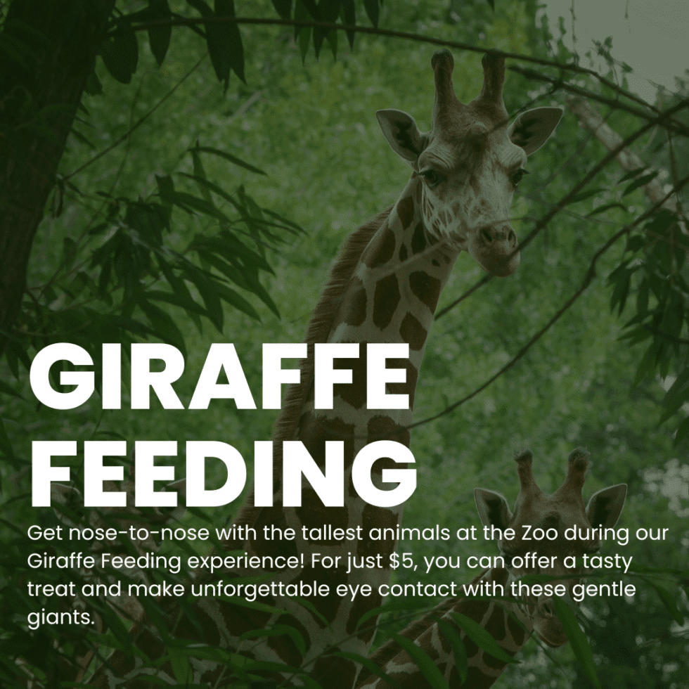 Roosevelt Park Zoo photo 2