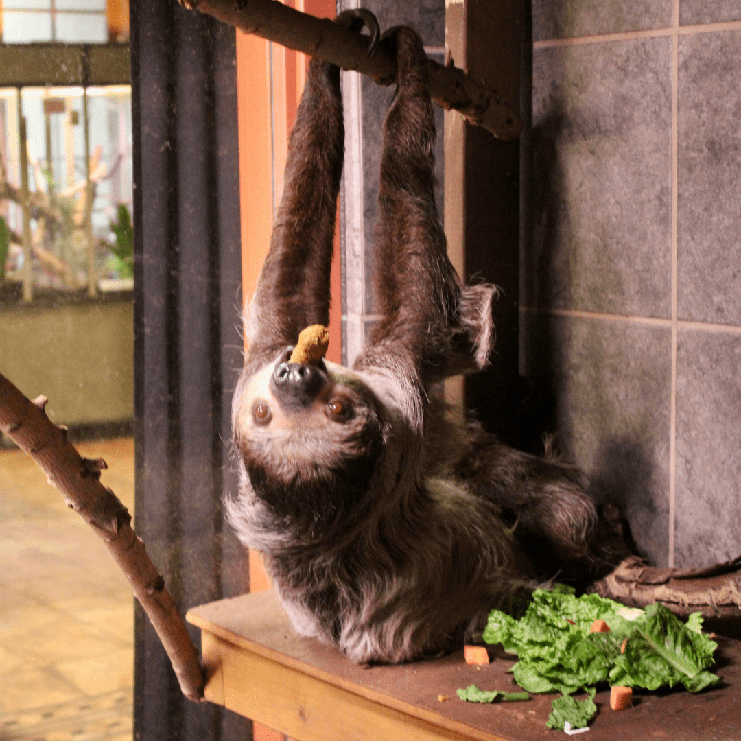 Untitled design (42)