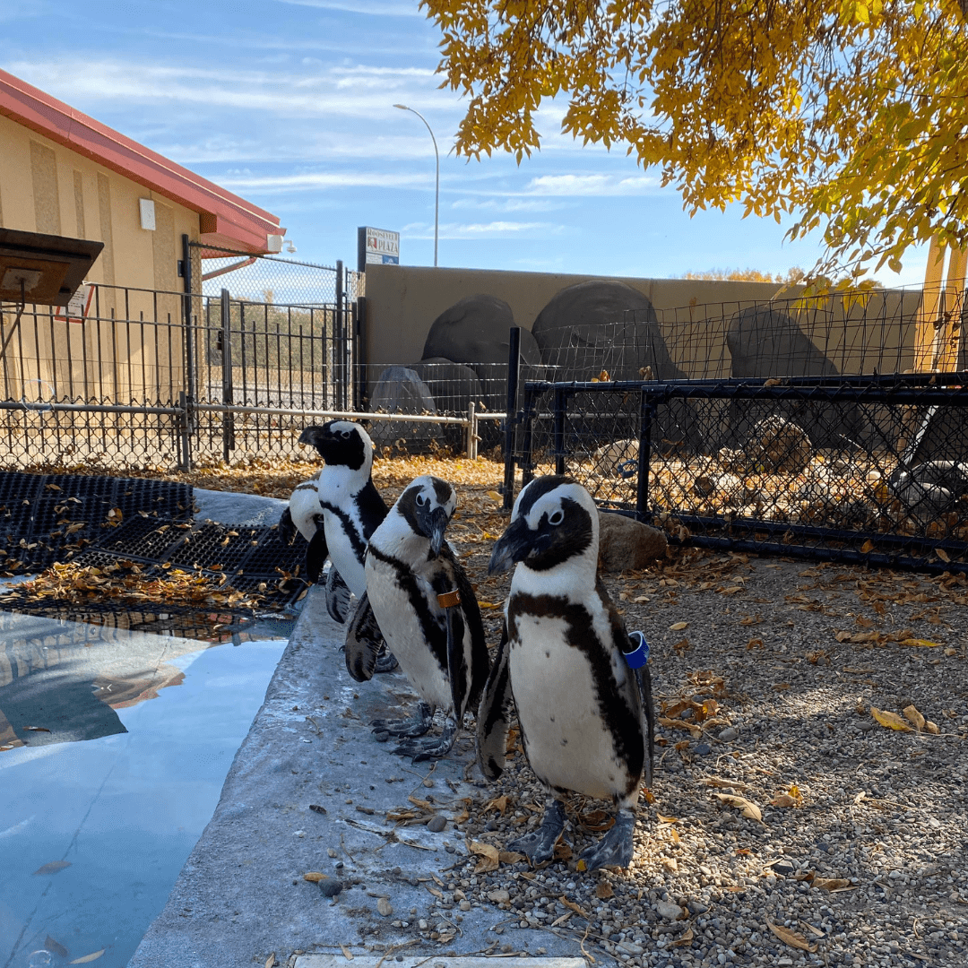 Untitled design (44)