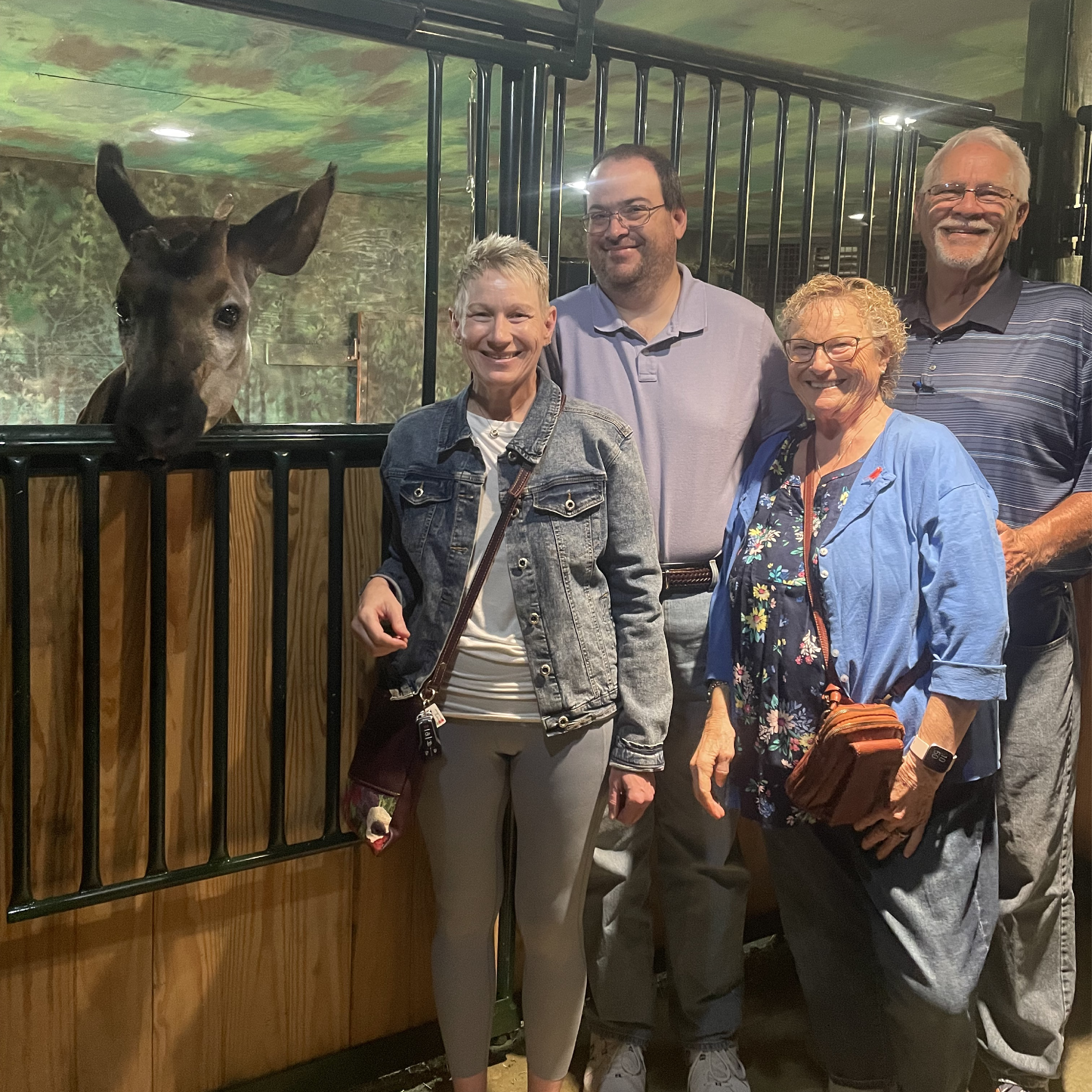 Okapi Photo